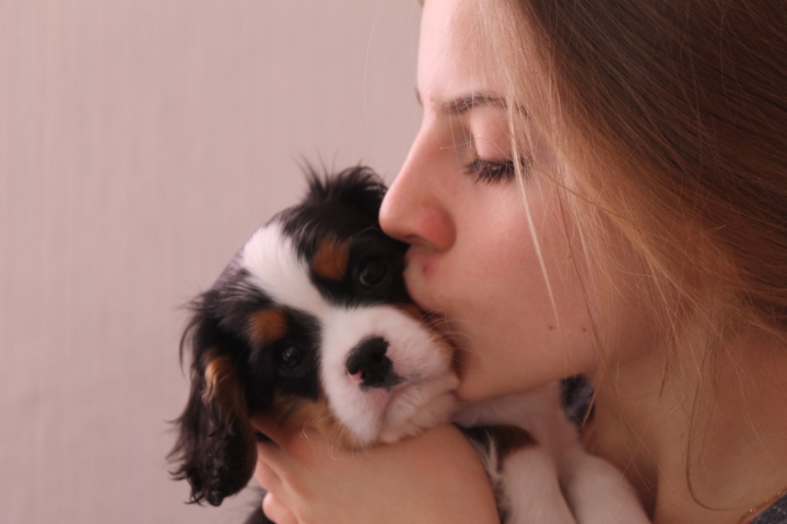 PEPITA od Misia Zbysia